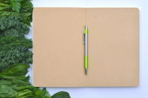 Top view flat layout frame of fresh culinary herbs and green leaf vegetables Stock Photos