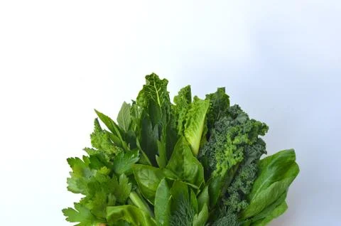 Top view flat layout frame of fresh culinary herbs and green leaf vegetables Stock Photos