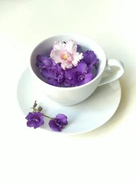Top view, flat layout, snow-white tea coffee steam with clean drinking water, Stock Photos