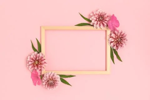 Top view of flower border frame made of dahlia on a pink background. Stock Photos