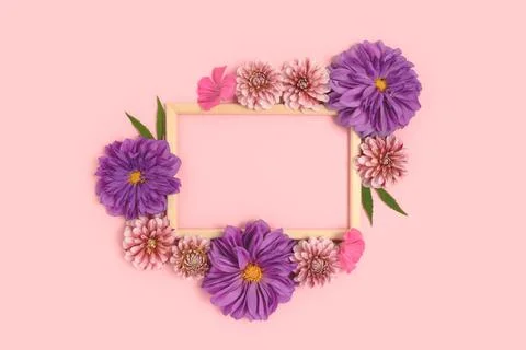 Top view of flower border frame made of dahlia on a pink pastel background. Stock Photos