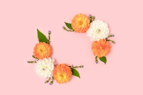 Top view of flower border frame made of dahlia and green leaves Stock Photos