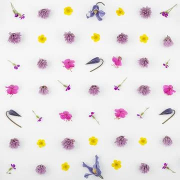Top view of a flower composition on a white background. A pattern of flowerin Foto stock