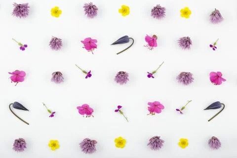 Top view of a flower composition on a white background. A pattern of flowerin Stock Photos