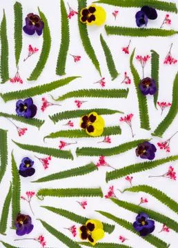 Top view of a flower composition on a white background. A pattern of flowerin Stock-Fotos