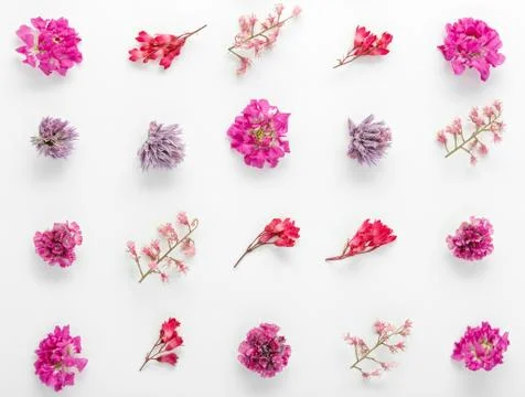 Top view of a flower composition on a white background. A pattern of flowerin 写真素材
