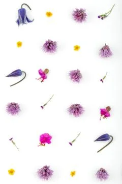 Top view of a flower composition on a white background. A pattern of flowerin 写真素材