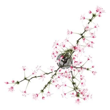 Top view of flowering tree twigs in glass vase isolated on white background.  Stock Illustration