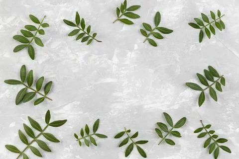 Top view flowers collection on table Stock Photos