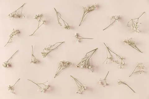 Top view flowers collection on table Stock Photos