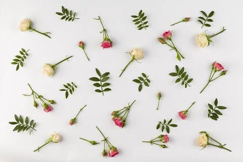 Top view flowers collection on table Stock Photos
