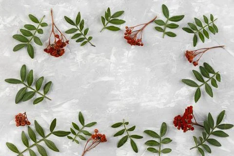 Top view flowers collection on table Stock Photos