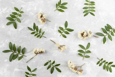 Top view flowers collection on table Stock Photos