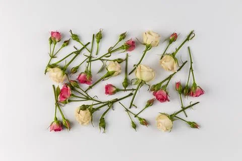 Top view flowers collection on table Stock Photos
