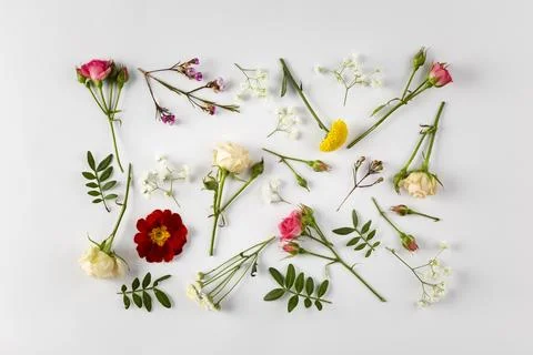 Top view flowers collection on table Stock Photos