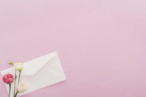 Top view flowers envelope isolated Stock Photos
