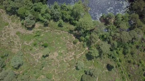 Top View Fly Over of a hidden forest pond in Devon, UK Video stock 138851250