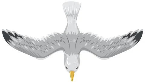 Top View of a Flying Seagull Stock Illustration