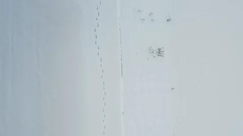 Top view footstep in a snow Stock Footage 101229931
