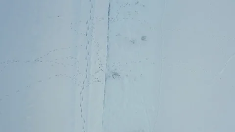 Top view footstep in a snow Stock Footage 101230410