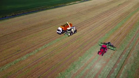 Top view. Forage harvester, tractor in field collects mown grass for silage Stock Footage 277543699