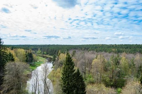 Top view of the forest and river in early spring Stock Photos