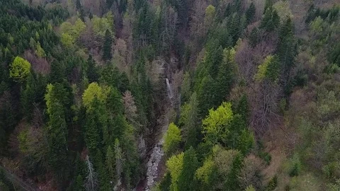 Top view of a forest and the road to the waterfallr, which is location in a Stock Footage 81389803