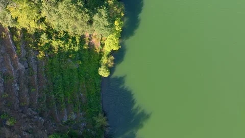 Top View Forest And Terraced Vineyards In Minho River Stock Footage 251794780