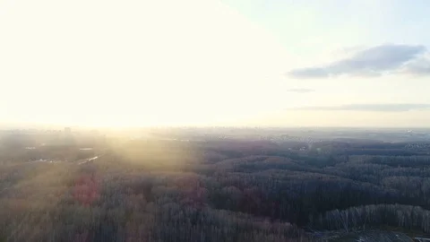 Top view: forest and town with road in sunny day Stock Footage 83193947