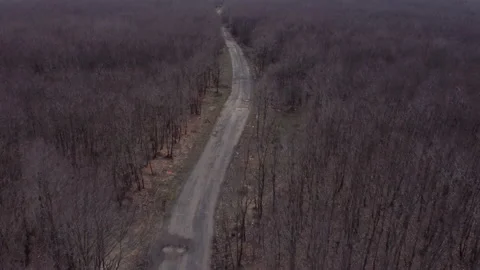 Top view of the forest and winding road in winter Stock Footage 150619159
