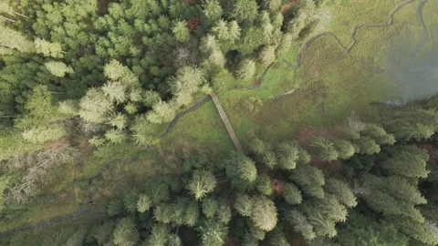 Top view of the forest bridge and then the camera turns to a mountain lake Stock Footage 147285040