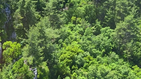 Top view of the forest from the funicular in the mountains. Stock Footage 314902796