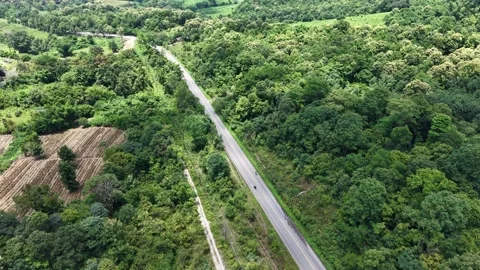 Top View of Forest Landscape and Countryside Path Stock-Footage 316360212