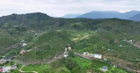 Top view of the forest mountain in taiwan Stock Footage 239581178