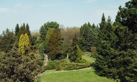 Top view of the forest Stock Photos