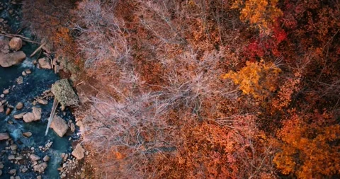 Top view forest river in autumn 動画素材 285814539