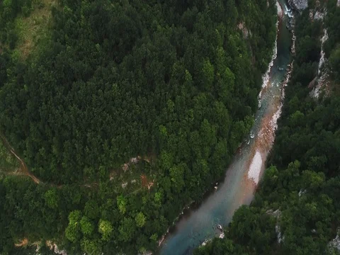 Top view of forest river in the mountains and bridge Stock Footage 80248983