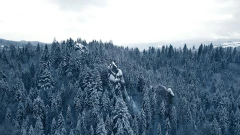 Top view of forest river in winter. Concept of winter tourism. Stock Photos