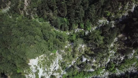 Top view of a Forest in a Rocky Area Stock Footage 237986889