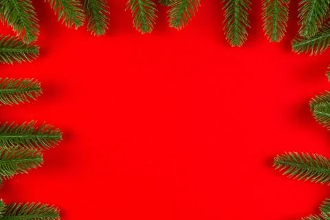 Top view of frame made of fir tree on colorful background with copy space. Me Stock Photos