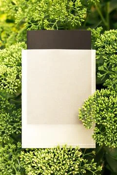 Top view of frame made of green sedium flower and copy space on package or tag Stock Photos