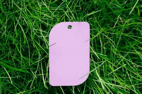Top view of frame made of green spring grass and one label without label in leaf Stock Photos
