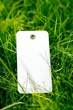 Top view of frame made of green spring grass and with white cardboard empty tag Stock Photos