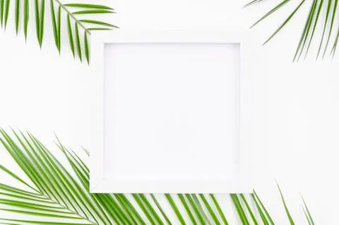 Top view frame mockup border arrangement with palm leaves on white background Stock Photos
