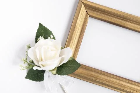 Top view frame with white rose 스톡 사진