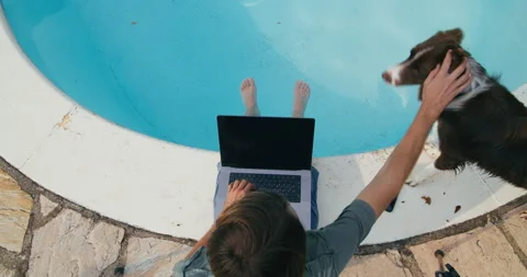 Top view freelance man using laptop computer aside the swimming pool with dog Stock Footage 208510445