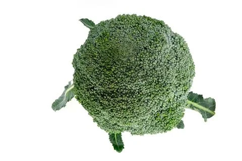 Top view. Fresh broccoli vegetable isolated on white background. vegan food c Stock Photos
