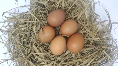 Top View of Fresh Chicken Eggs on Dried Straw Stock Footage 316208910