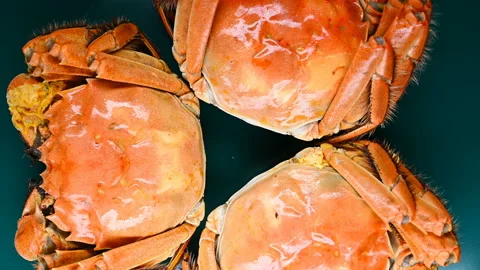 Top view fresh cooked crabs turning Stock Footage 141114575
