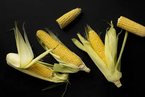 Top view fresh corn composition. High quality and resolution beautiful photo Stock Photos